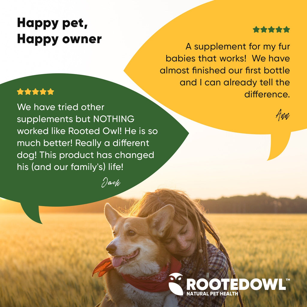 Joint & Muscle Health (Medium & Large Dogs) - Pawsology