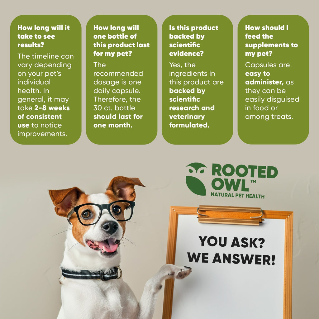 Joint & Muscle Health (Medium & Large Dogs) - Pawsology