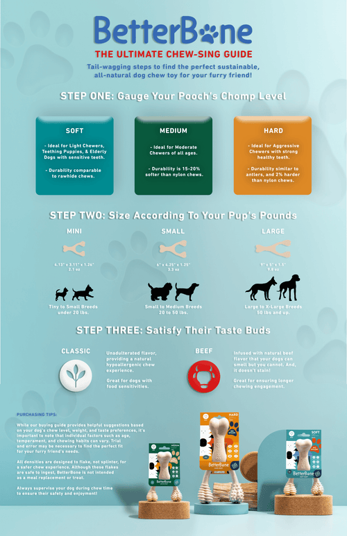 BetterBone HARD Chew Toy - Pawsology