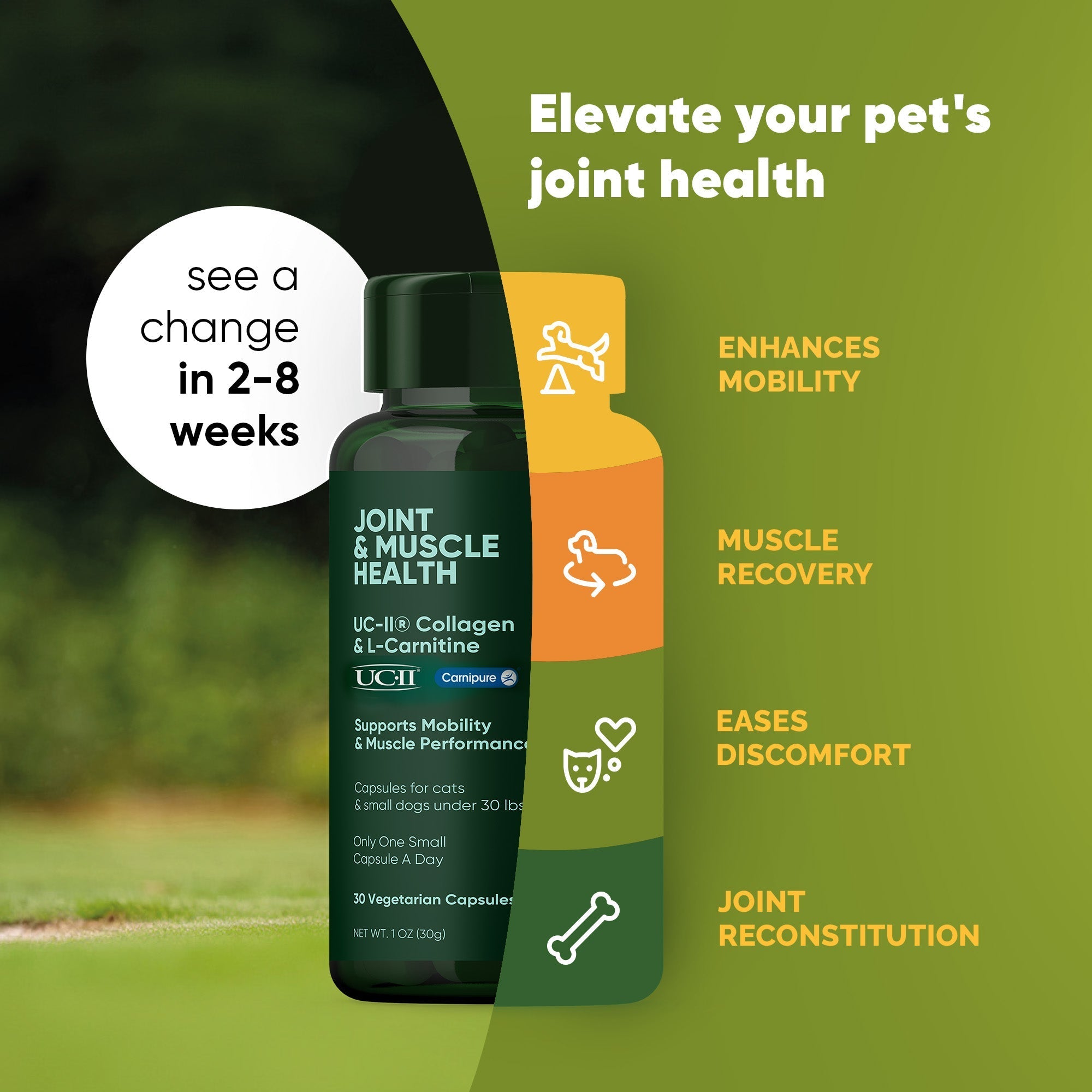 Joint & Muscle Health (Medium & Large Dogs) - Pawsology