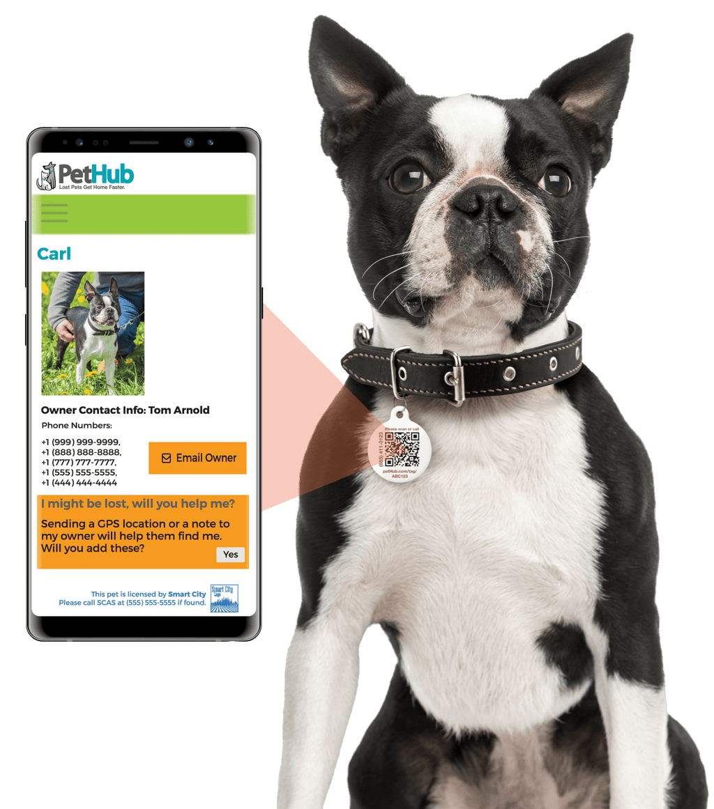 QR ID Pet Tag - Lost AF - Pawsology