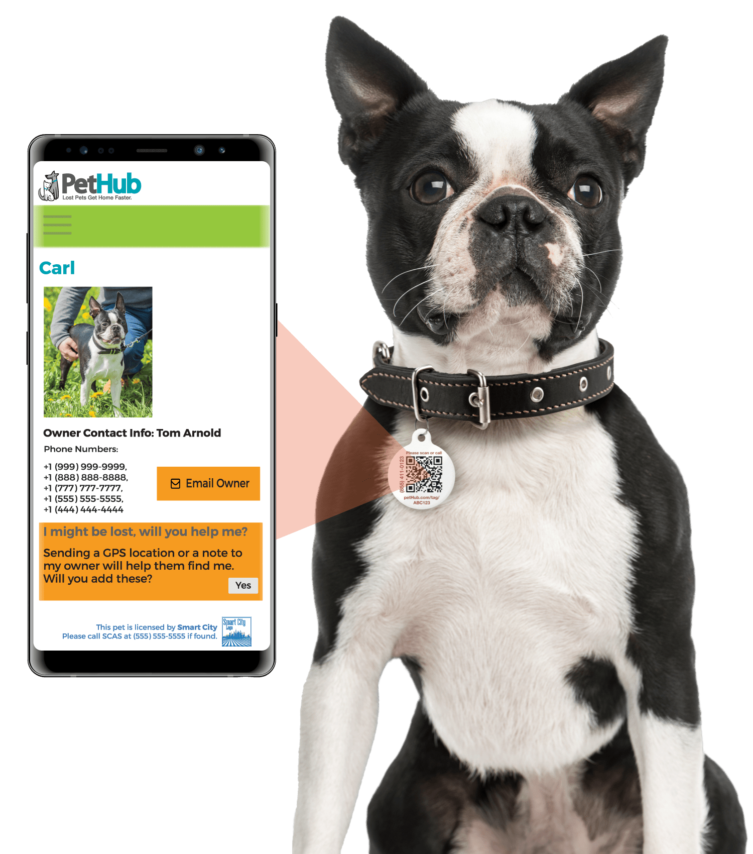QR ID Pet Tag - Lost AF - Pawsology