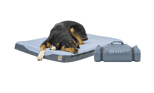 HEST Dog Bed - Pawsology