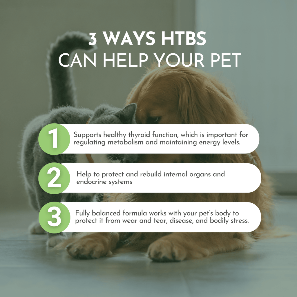Holistic Total Body Support — Daily Multivitamin & Pasture - Raised Glandular Blend for Dogs & Cats - Pawsology