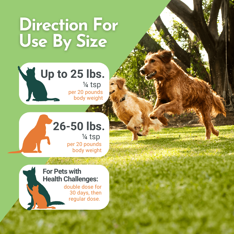 Holistic Total Body Support — Daily Multivitamin & Pasture - Raised Glandular Blend for Dogs & Cats - Pawsology