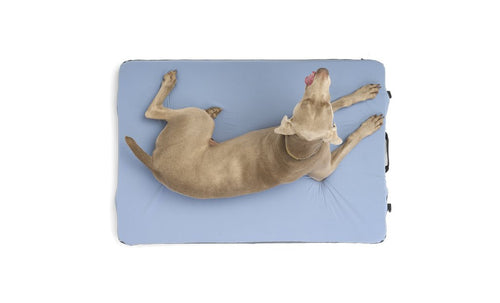 HEST Dog Bed - Pawsology