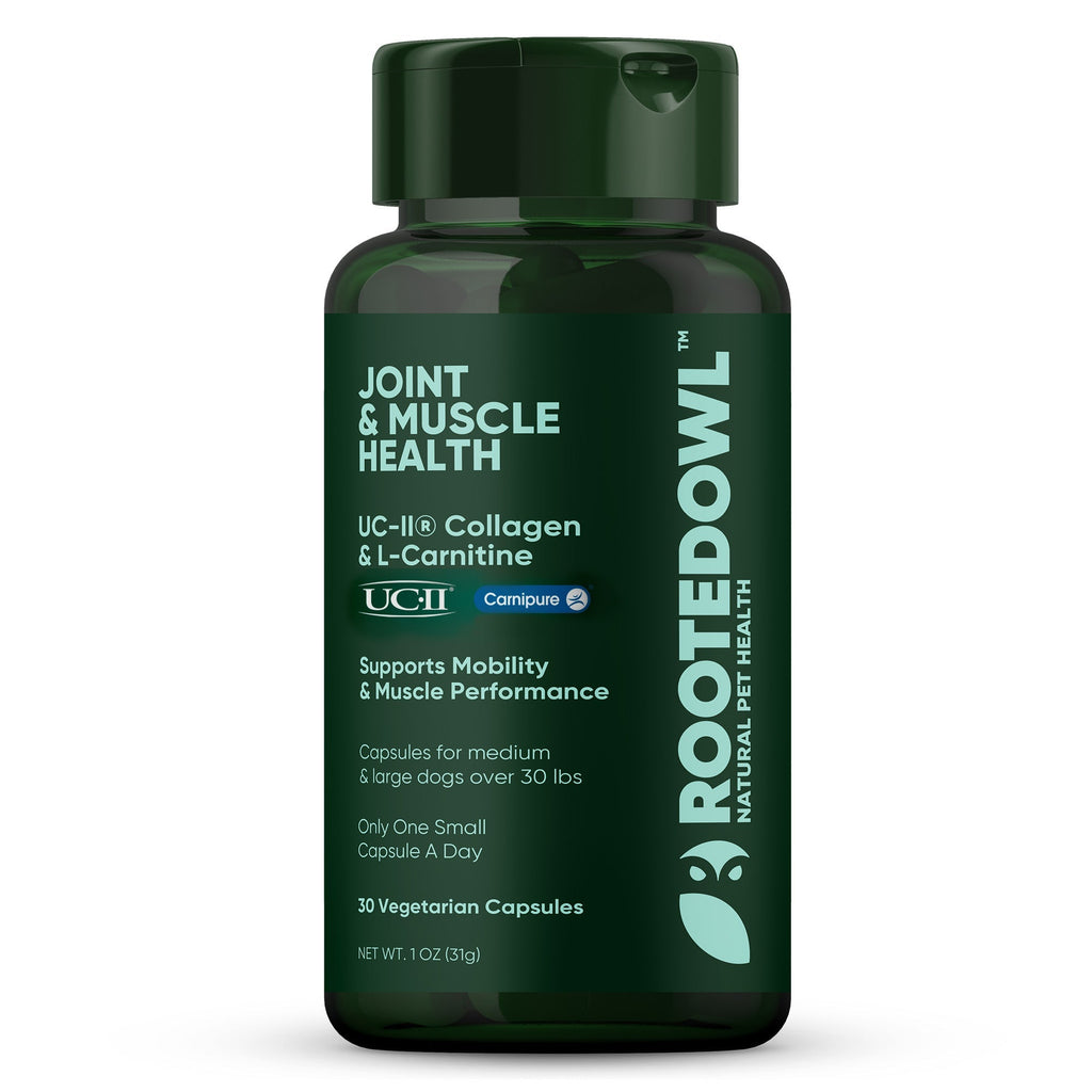 Joint & Muscle Health (Medium & Large Dogs) - Pawsology
