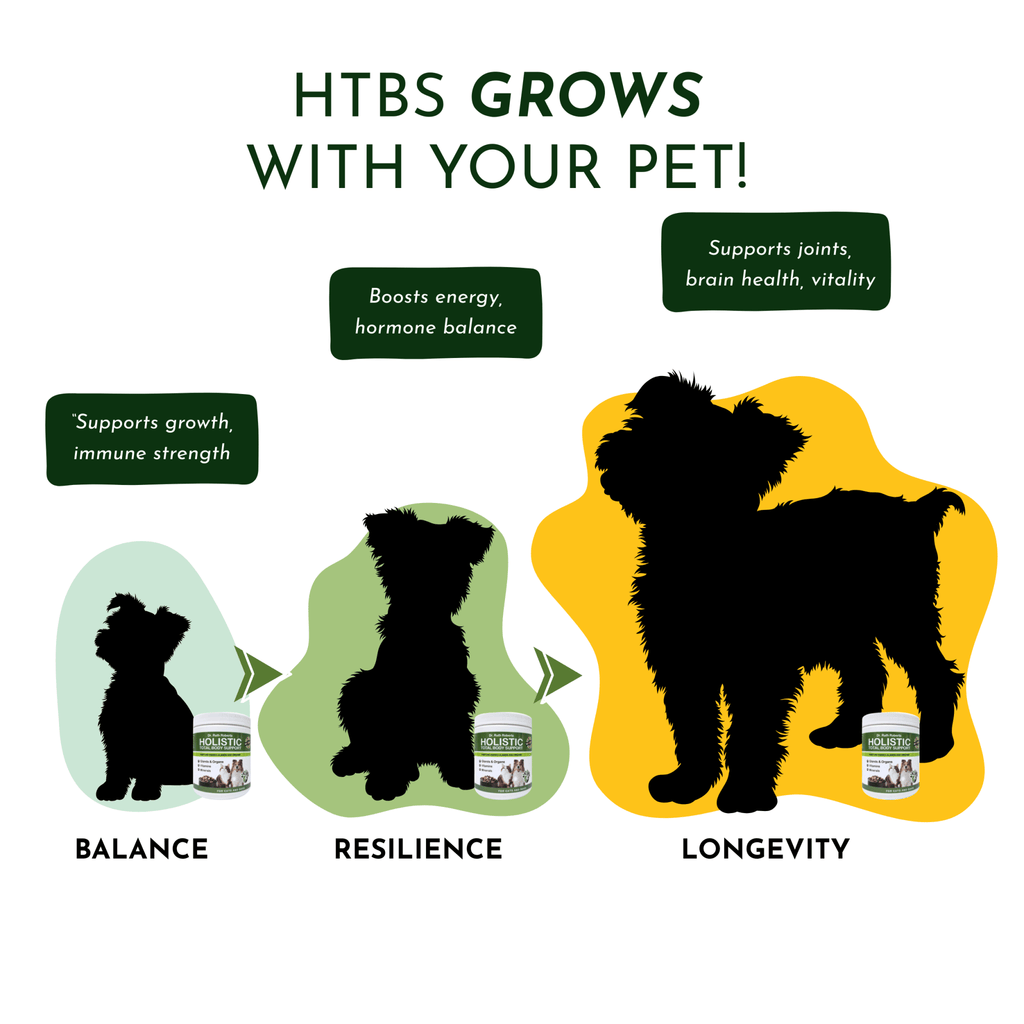 Holistic Total Body Support — Daily Multivitamin & Pasture - Raised Glandular Blend for Dogs & Cats - Pawsology