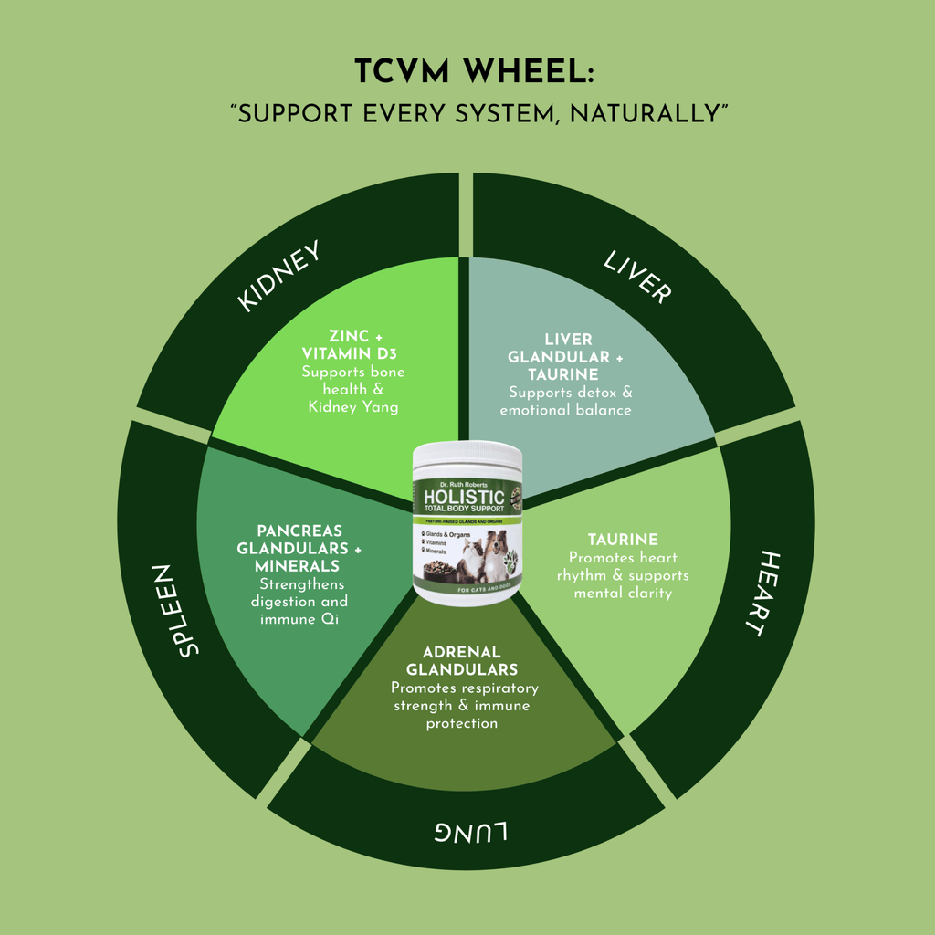 Holistic Total Body Support — Daily Multivitamin & Pasture - Raised Glandular Blend for Dogs & Cats - Pawsology