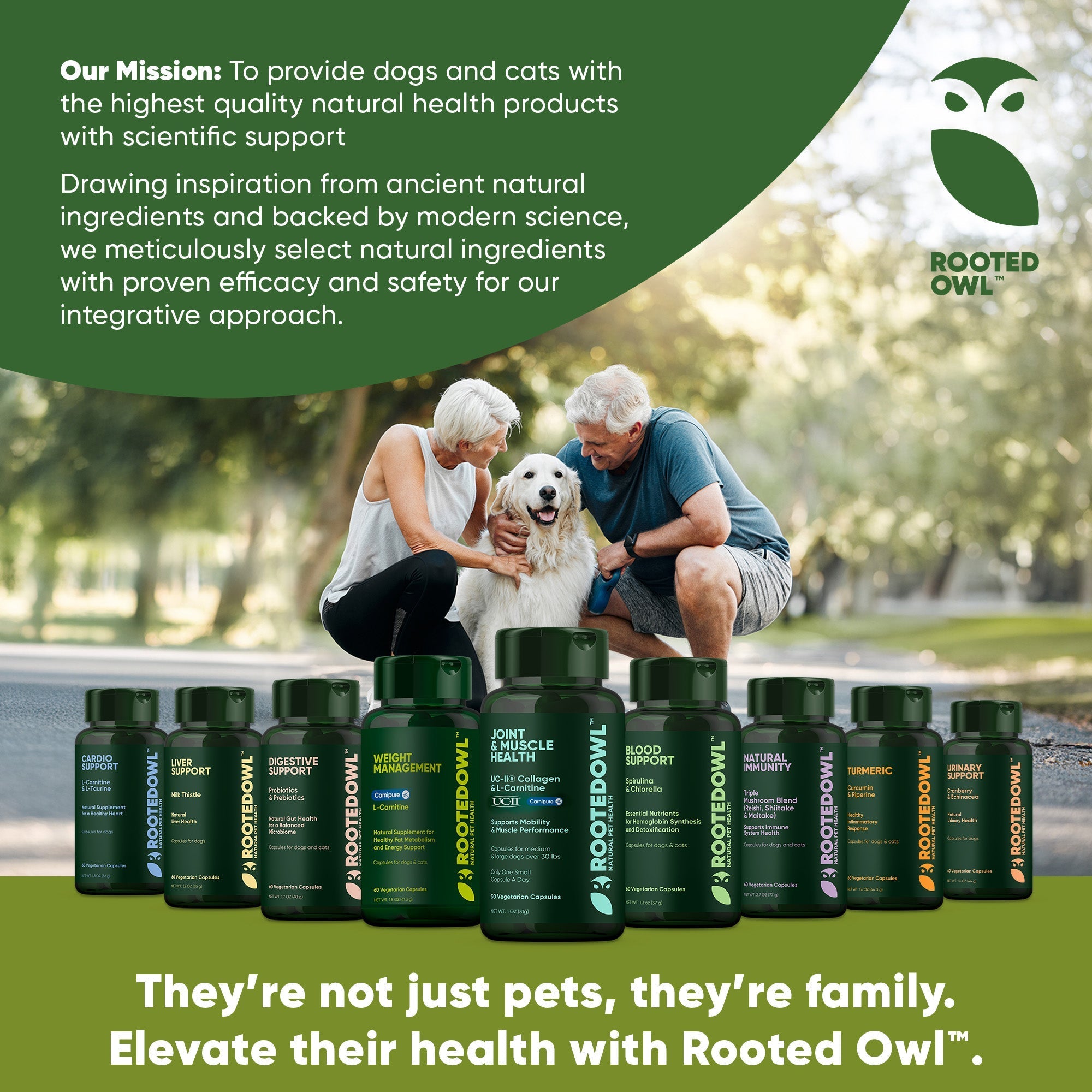 Joint & Muscle Health (Medium & Large Dogs) - Pawsology