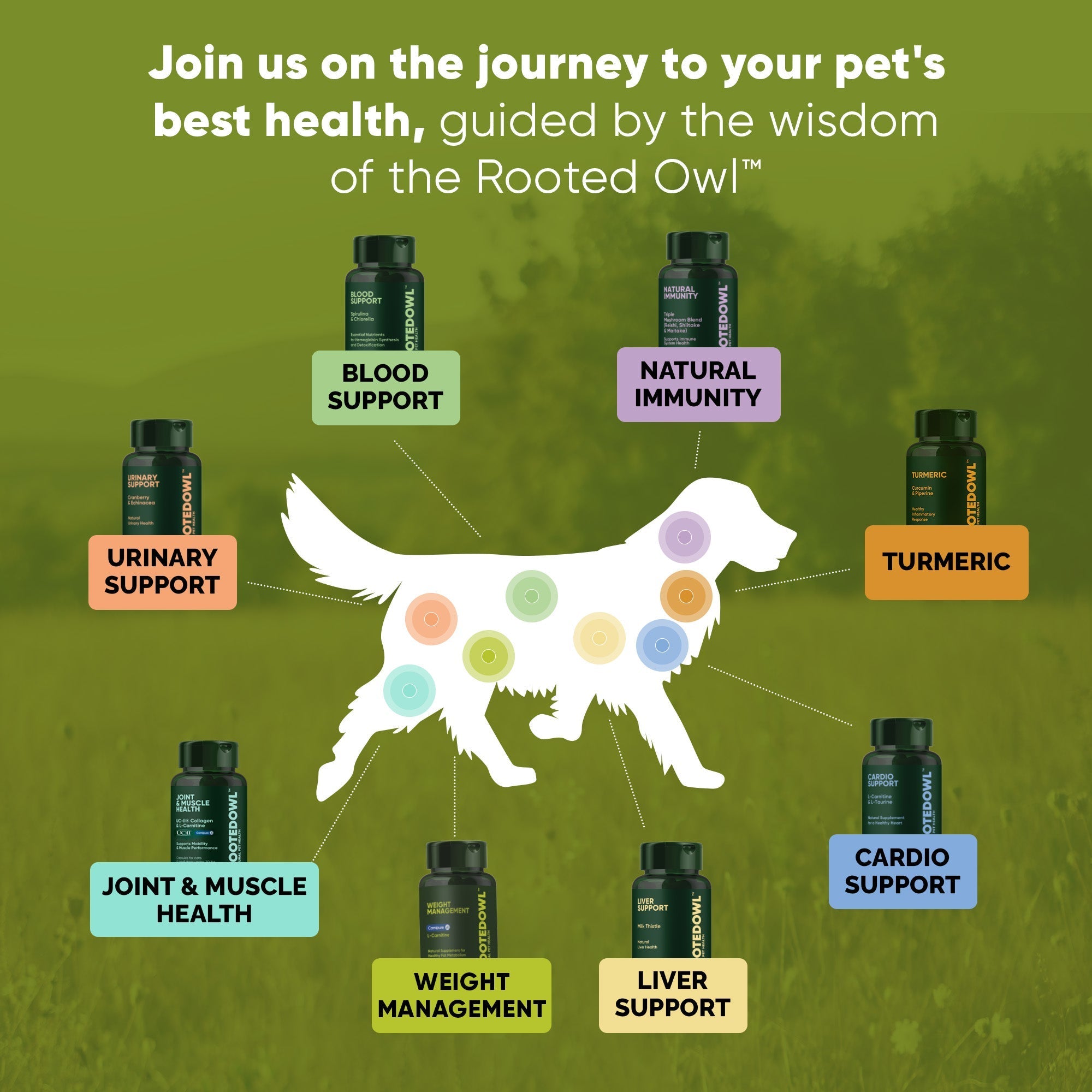 Joint & Muscle Health (Medium & Large Dogs) - Pawsology